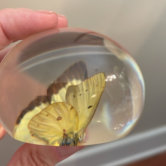 TARAX INFINITY PRODUCTS Yellow Butterfly  PAPERWEIGHT, HANDCRAFTED IN CANADA - Picture 9 of 17